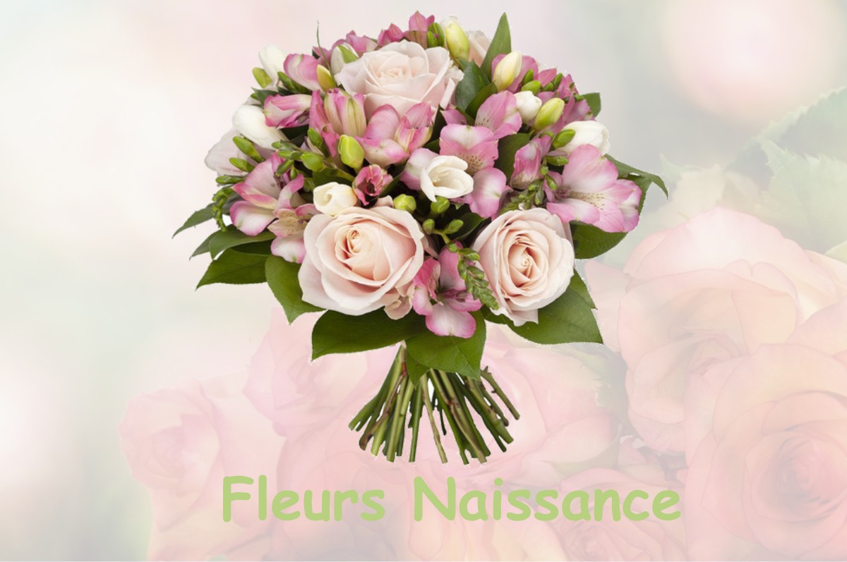 fleurs naissance ORNES