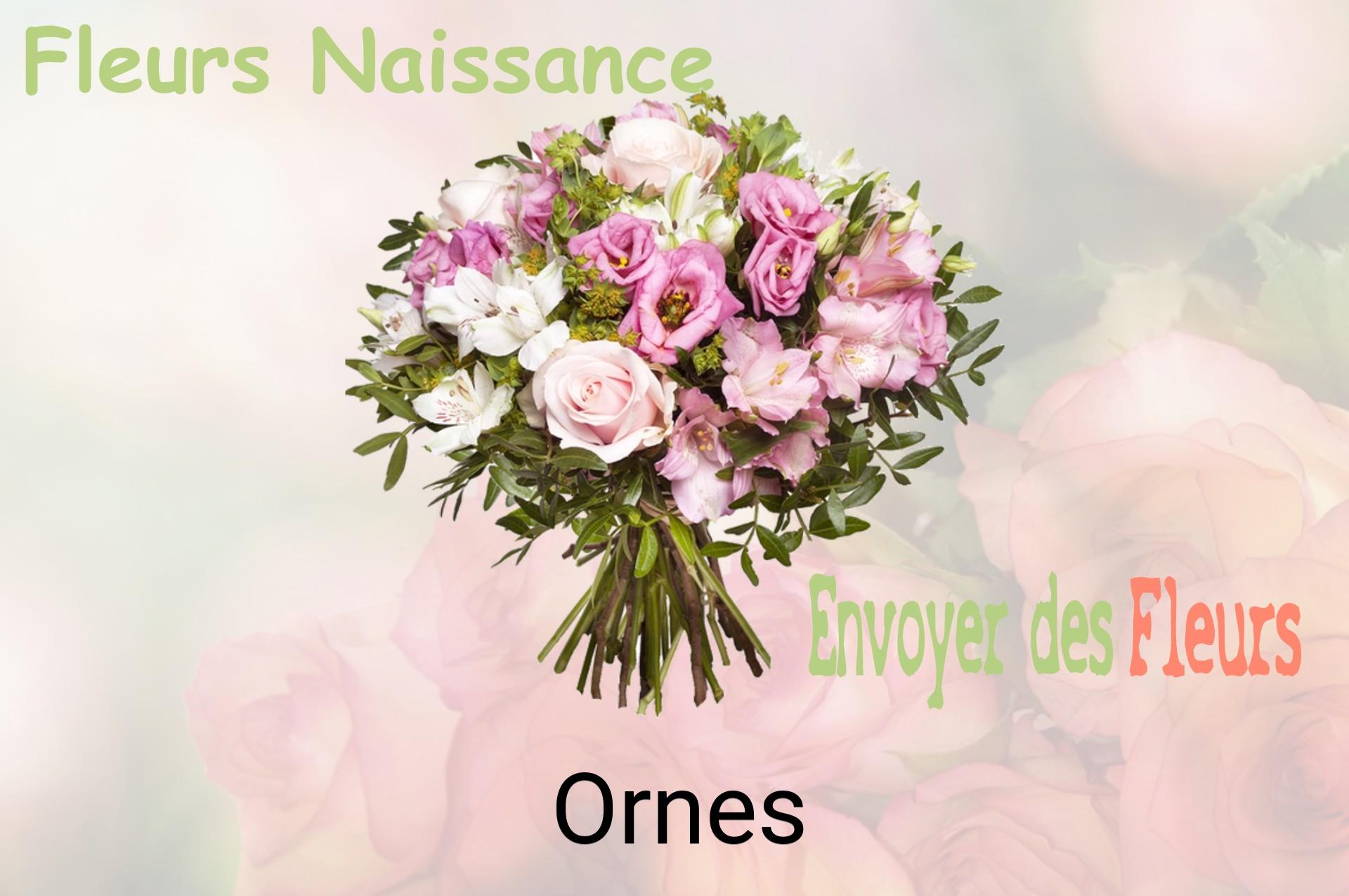 Bouquet de fleurs de naissance livré à Ornes