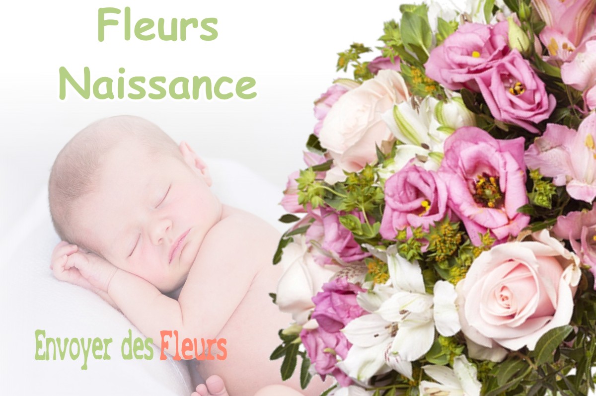 lIVRAISON FLEURS NAISSANCE à ORNES